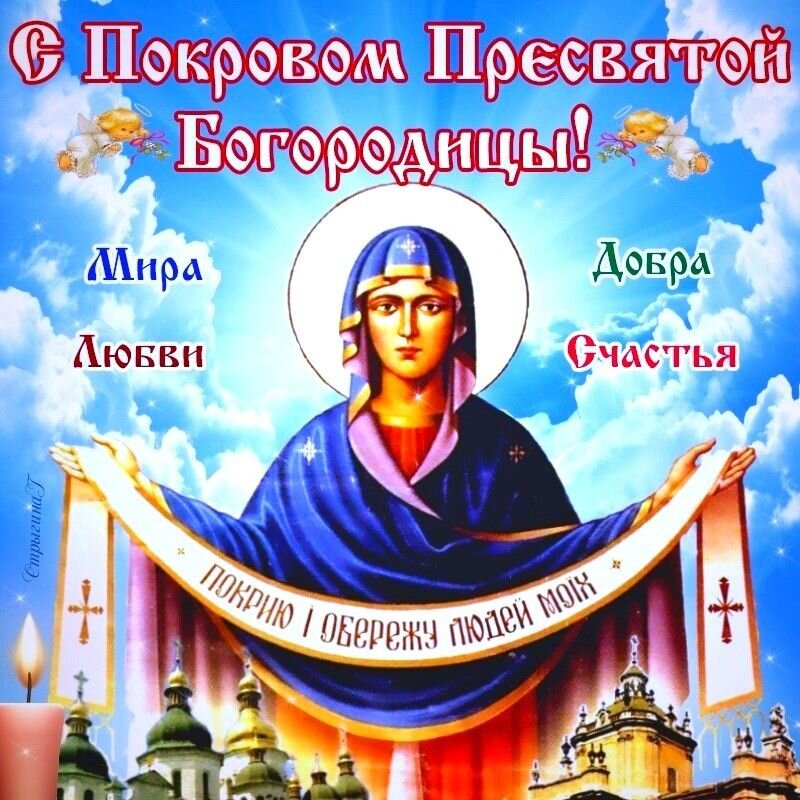 Фото из интернета 
