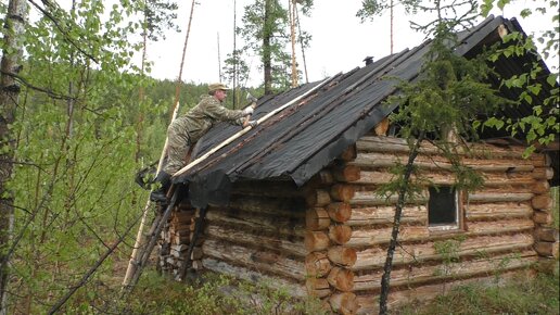 Наедине с тайгой фото избы