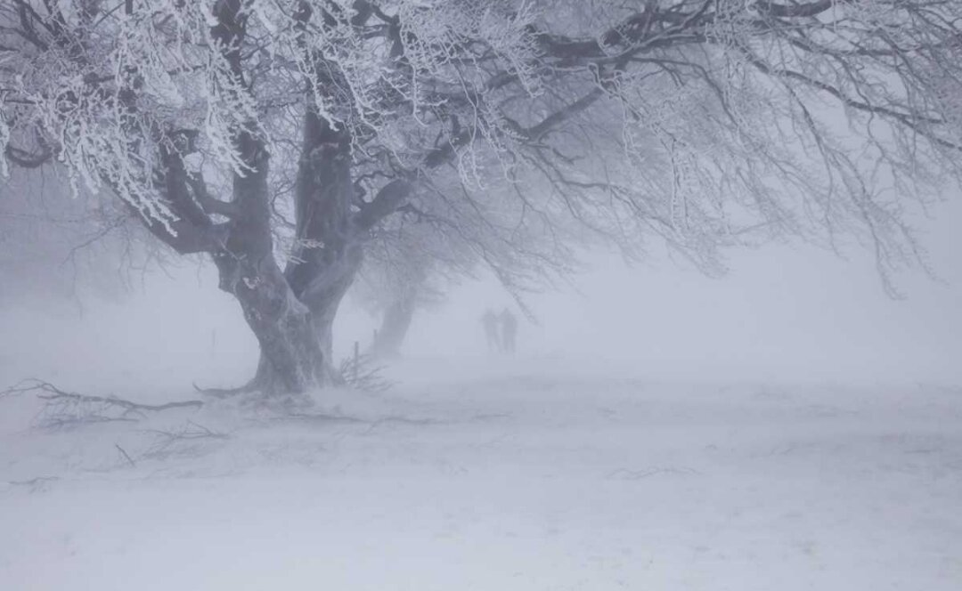 Фотография взята из открытых источников интернета