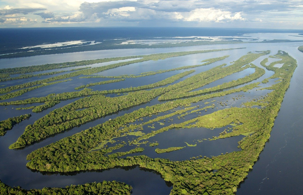 Ширина Амазонки может достигать 48 км