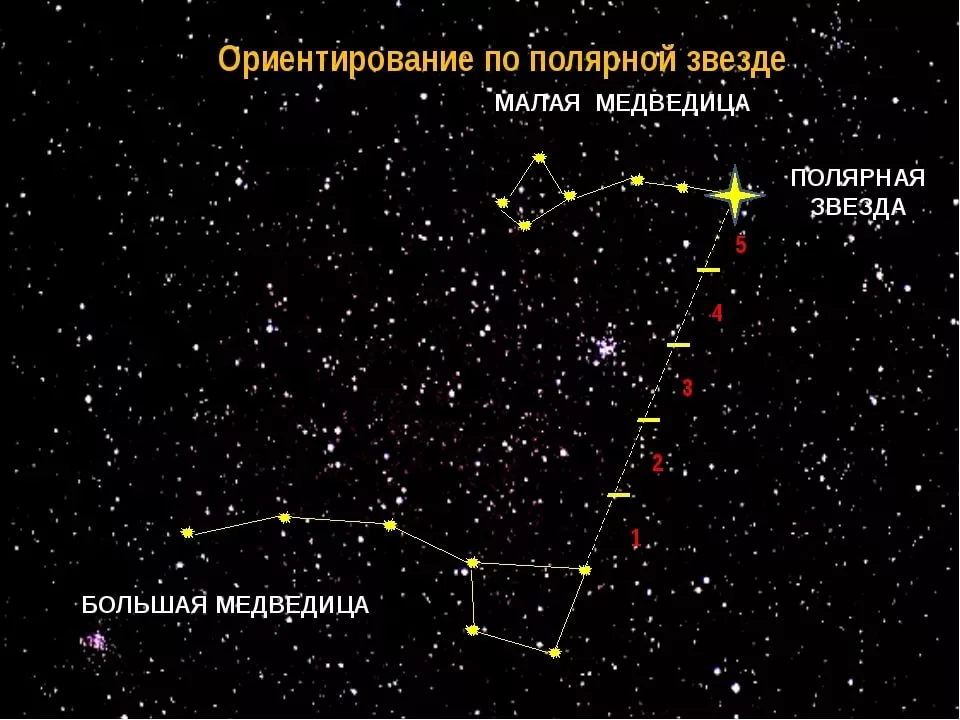 Большая и малая Медведица Полярная звезда. Созвездие ковш малой медведицы. Большая и малая Медведица звёзды в созвездии. Созвездие малая Медведица и Полярная звезда.