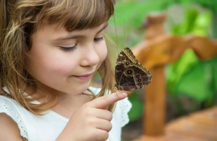 Фото из открытых источников 