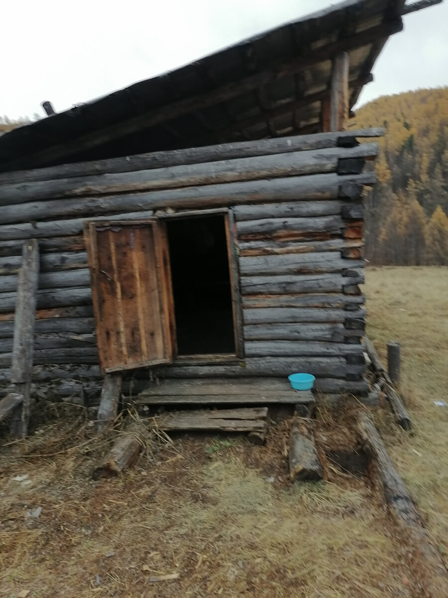 Зимовье. Фото Александра Шагдуровича.