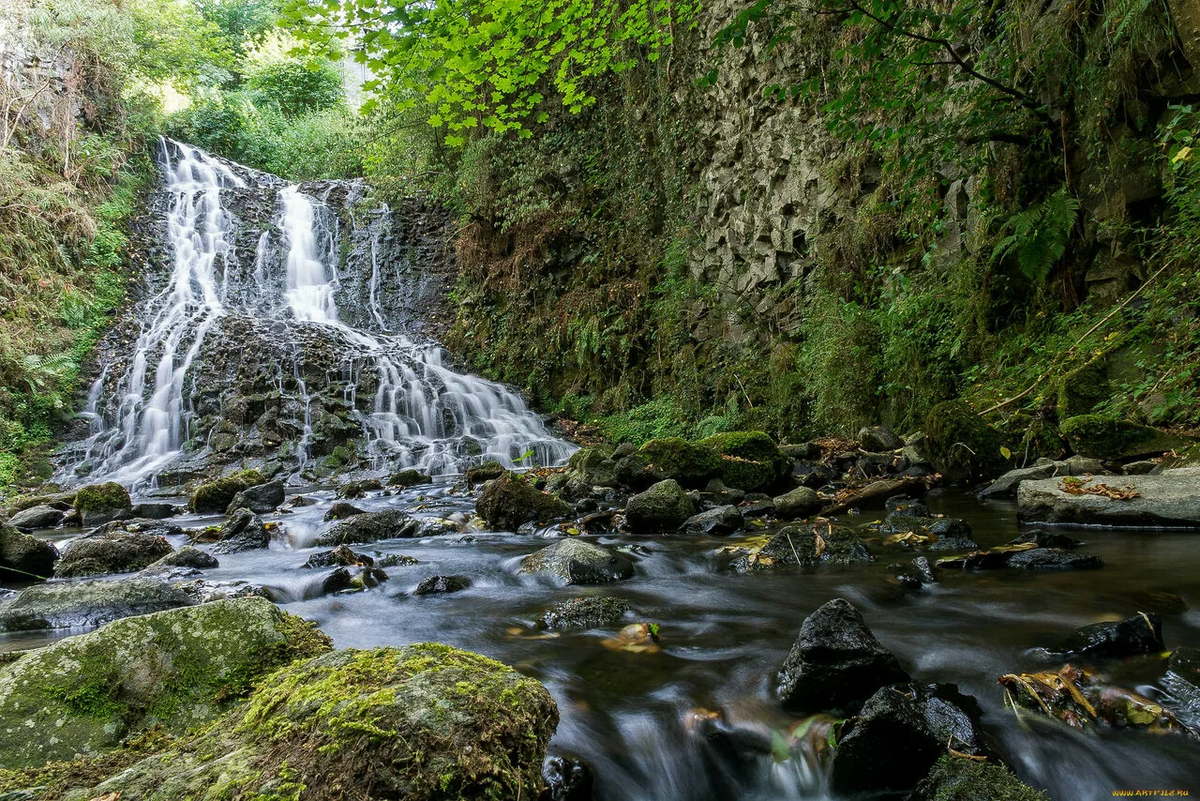 Самурский лес в Дагестане