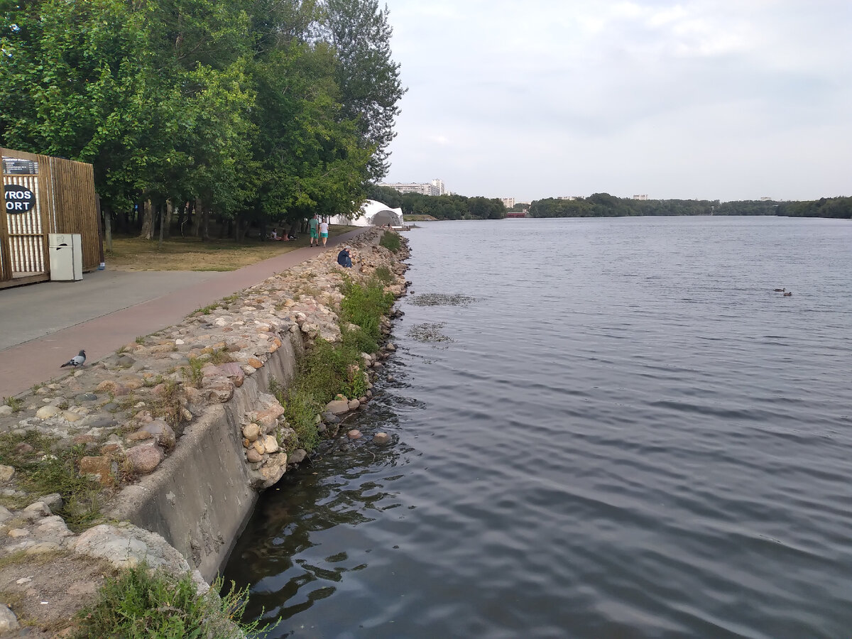 Спасибо за внимание! Поделитесь своим мнением и личным опытом. Ставьте лайки, если желаете поддержать автора. Буду очень признателен за Ваши донаты. 