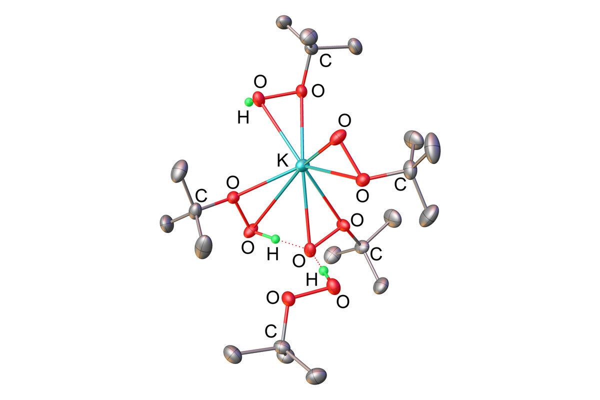 Взаимодействия в кристаллической структуре аддукта трет-бутил гидропероксида с его калиевой солью: водородные связи с участием ООH-групп и окружение иона калия. Источник: Buldashov et al. / CrystEngComm, 2022