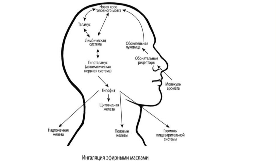 Ингаляция эфирными маслами 