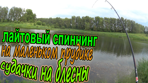 Рыбалка на лайтовый спиннинг на маленьком прудике! Окуни и судачки на блесна!! Красивая рыбалочка!!!