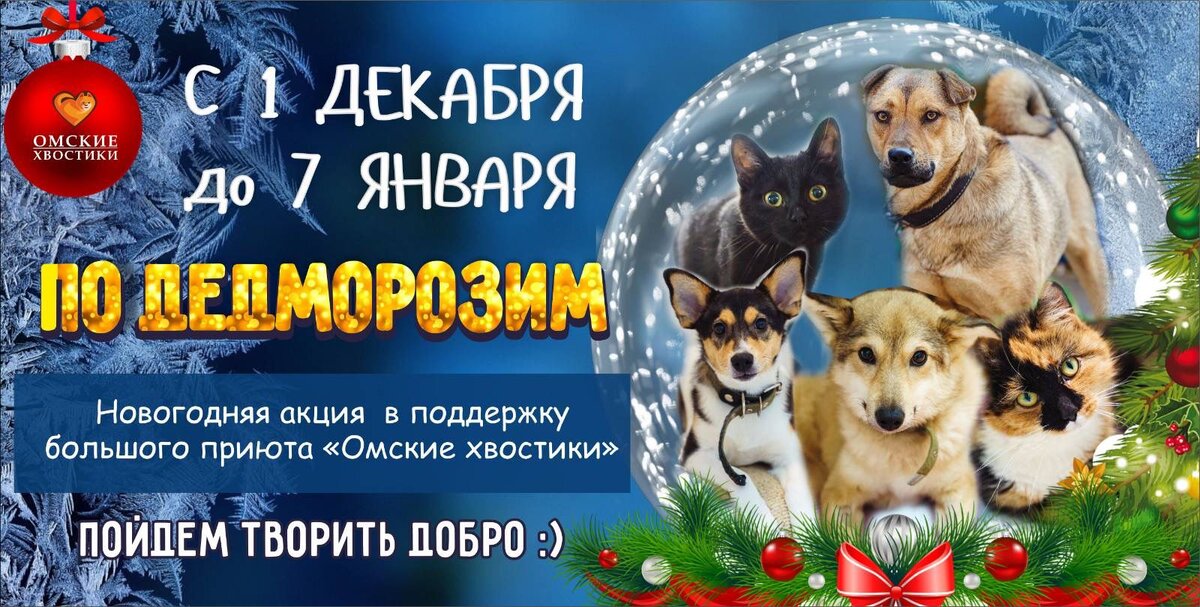 Акция в поддержку приюта