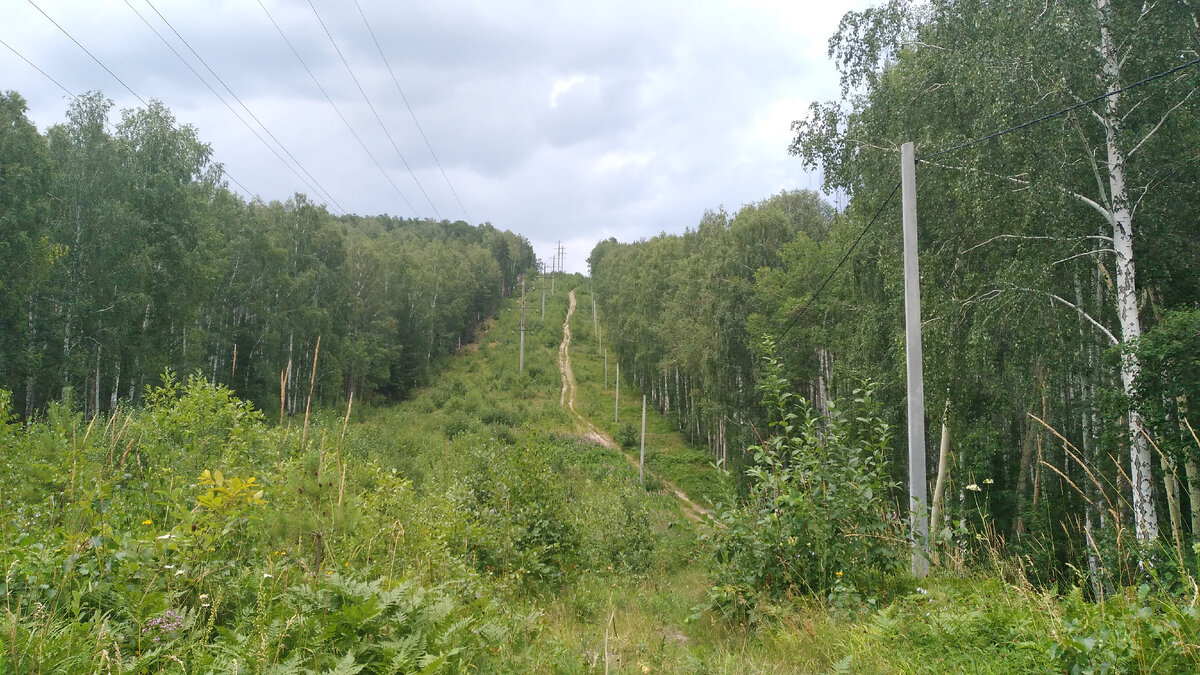 Дорожка на Сидоркину гору