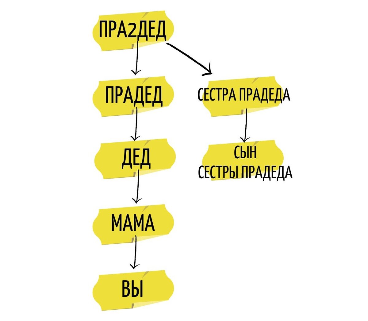 Схема родственных связей. Степени родства схема. Схема родственных уз. Родственники названия схема.