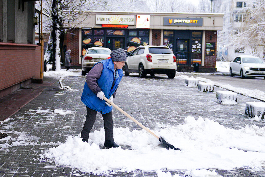 Фото: Виталий Невар / Новый Калининград