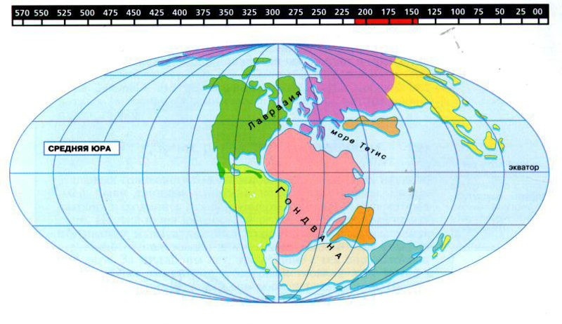 Континенты в юрский период