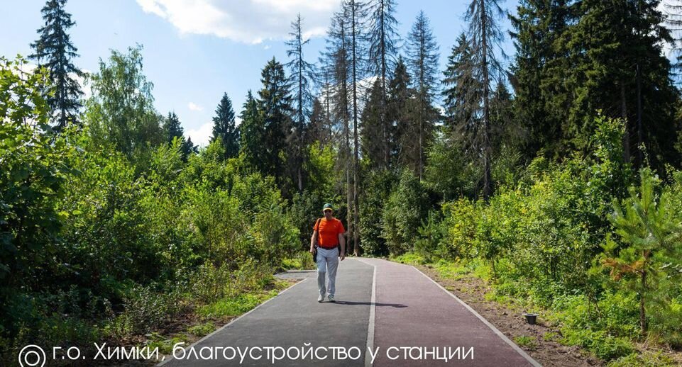     Губернатор Московской области Андрей Воробьев/Telegram