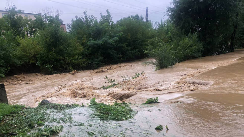    Фото: Прокуратура Приморского края
