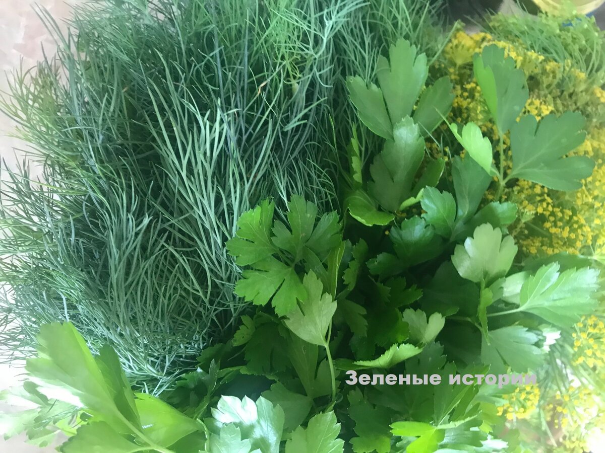 Это еще июльский посев доедаем