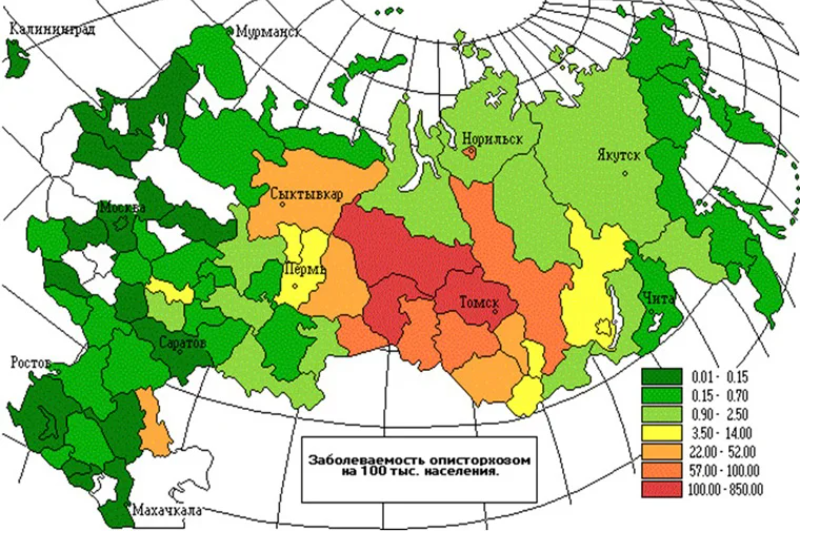 Почему в рф большое количество больных тениозом причинная карта