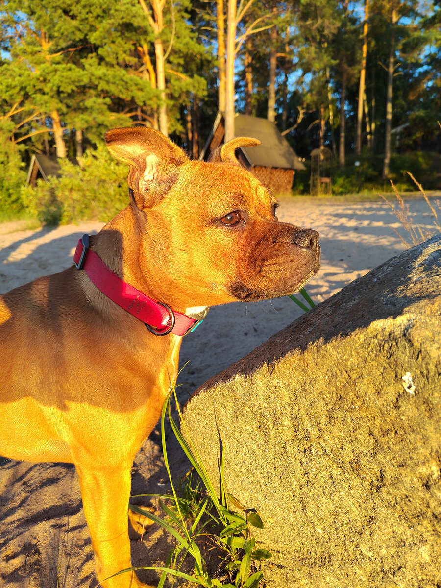 Фотография из личного архива