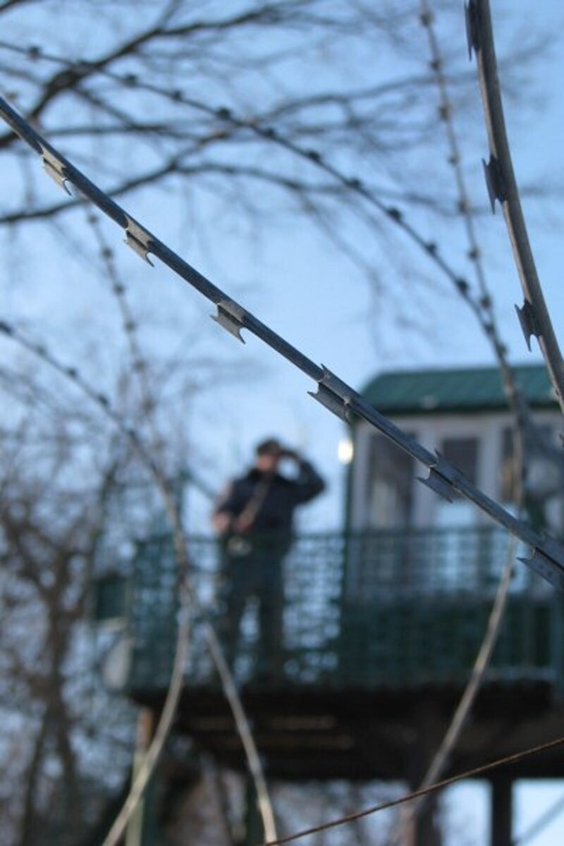 В ожидании. Фото из сети.