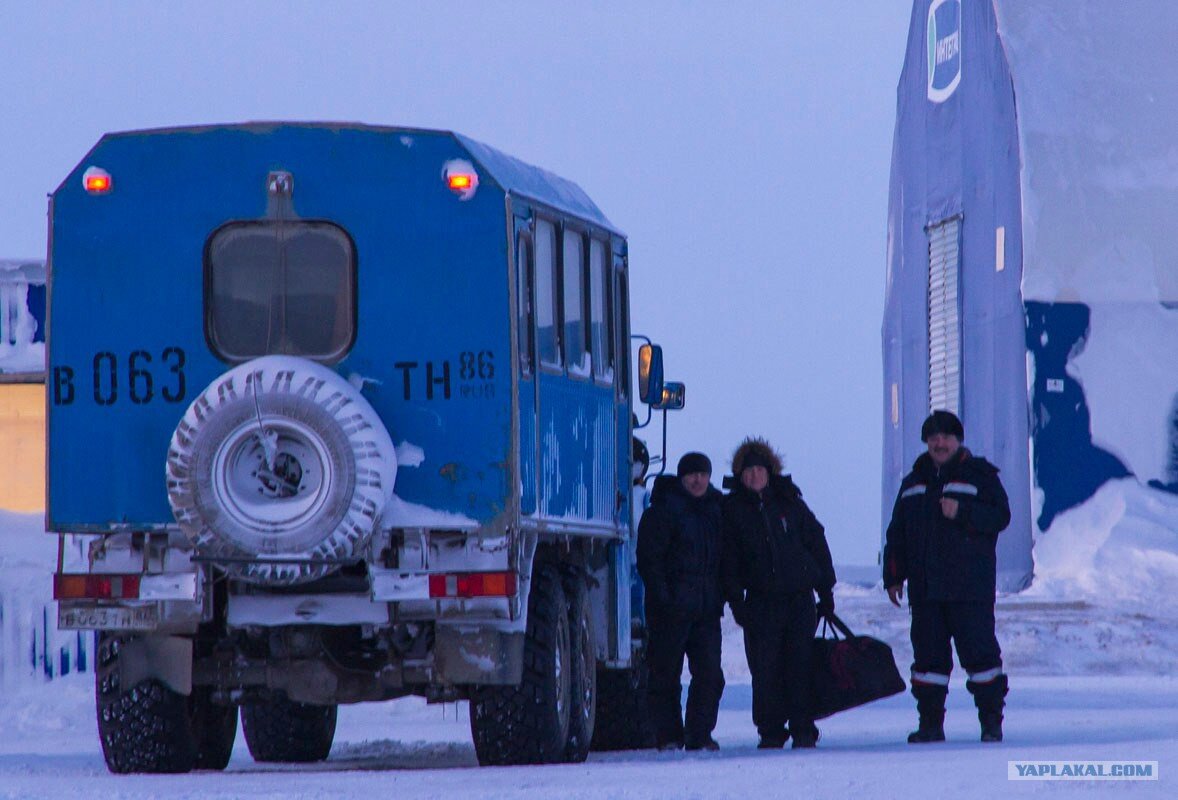 фото взято из свободного доступа.