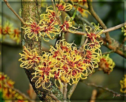 Биологические свойства