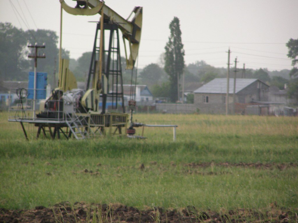 Нефтяная "вышка" качает нефть прямо посреди поля с зерном. Краснодарский край полон чудес.  