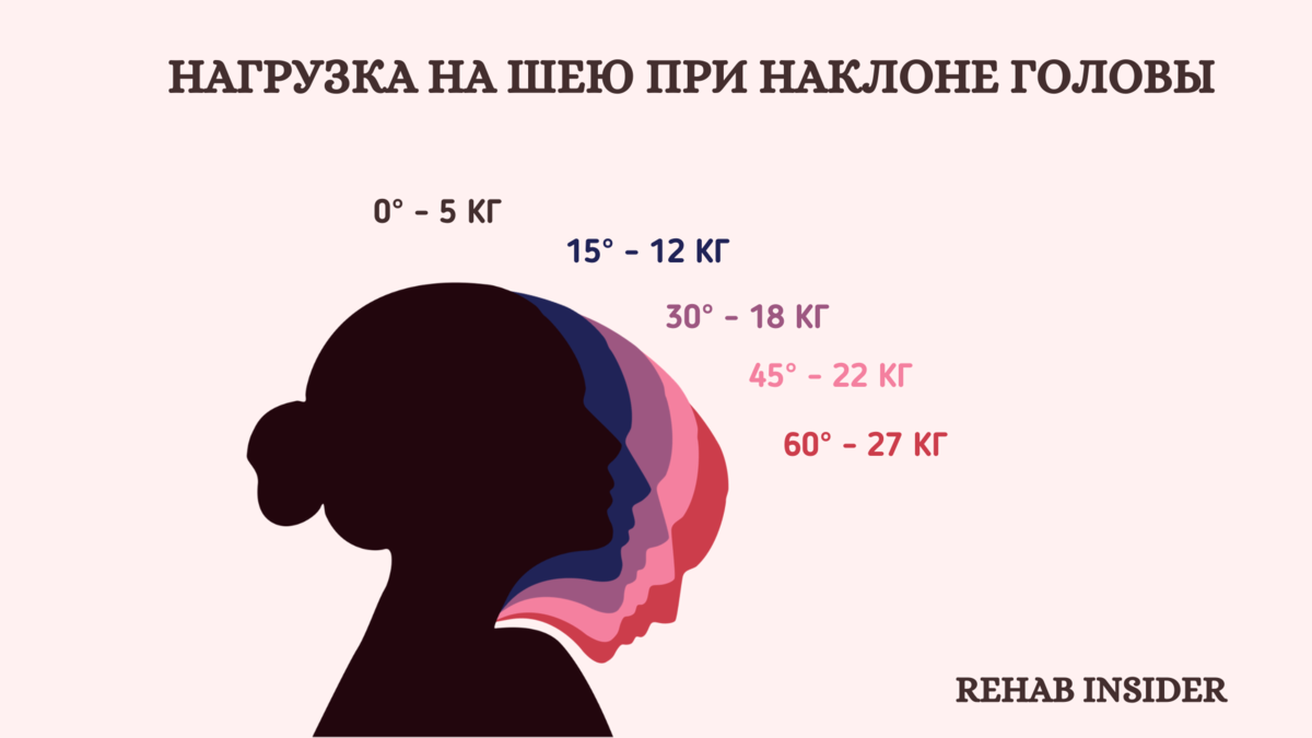 Вес мозга. Масса мозга взрослого человека. Средняя масса мозга. Нормы окружности головы и грудной клетки у ребенка в год. Средний вес головы.