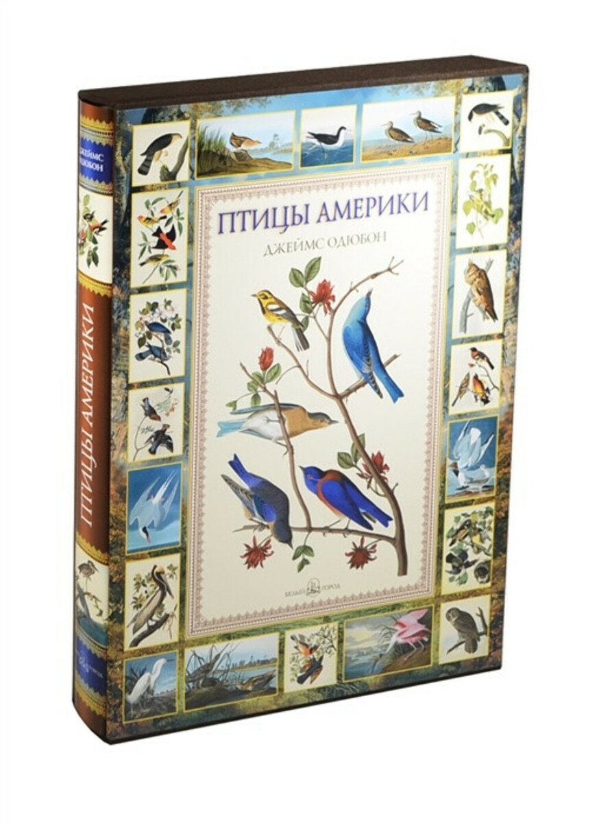 книга птицы америки