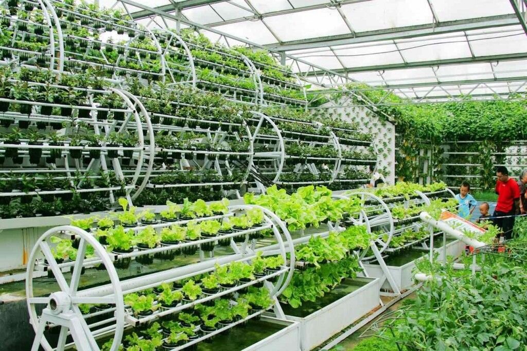 Business Plan for Aquaponics Farm