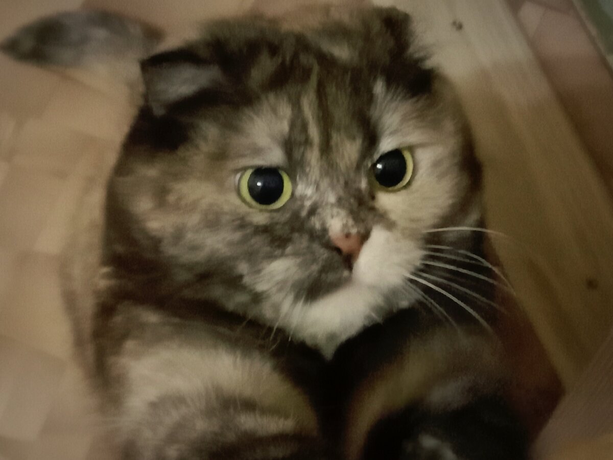 Взрослая "женщина"