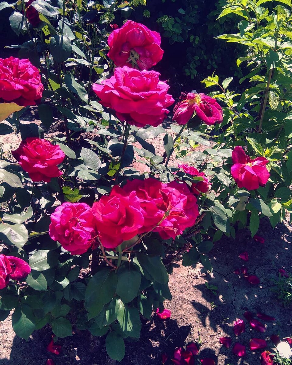 фото сделаны мной