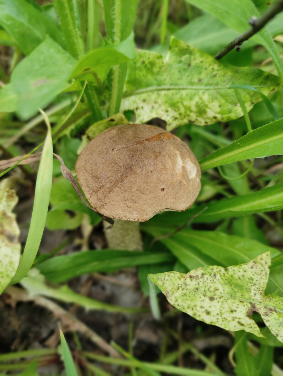 Я спрятался!