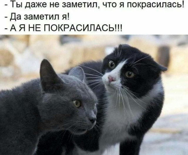 источник: pinterest.ru