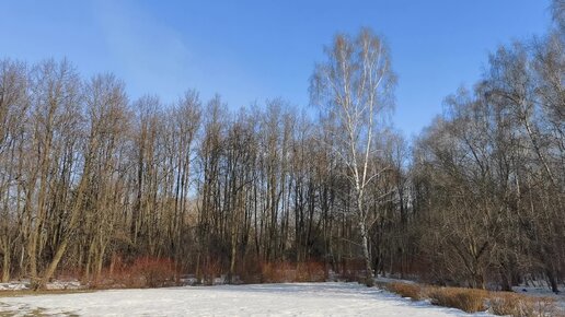 Шум парка. Весенний шум. Поселок весенний звон Красноярский край.