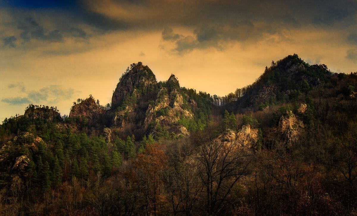 Источник: Pixabay