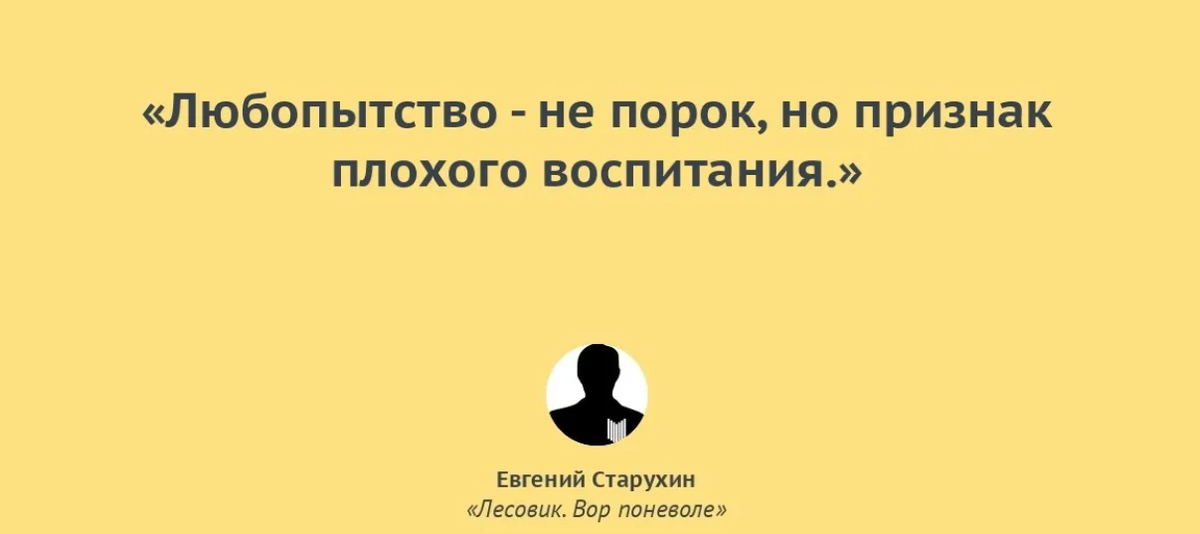 Отчетливый. Цитаты про любопытных. Любопытство высказывание. Афоризмы про любопытство. Любопытные люди цитаты.