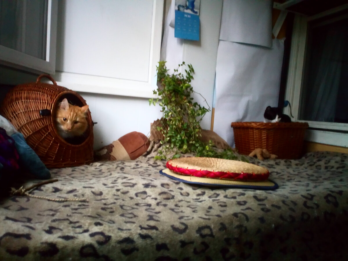 Любимые корзиночки