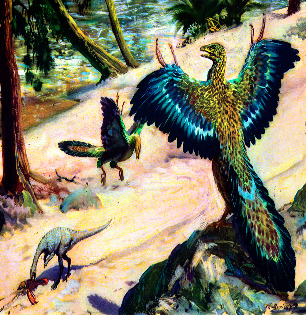 Птицы в древности. Юрский Археоптерикс. Древняя птица Археоптерикс. Археоптерикс Эра. Археоптерикс динозавр.