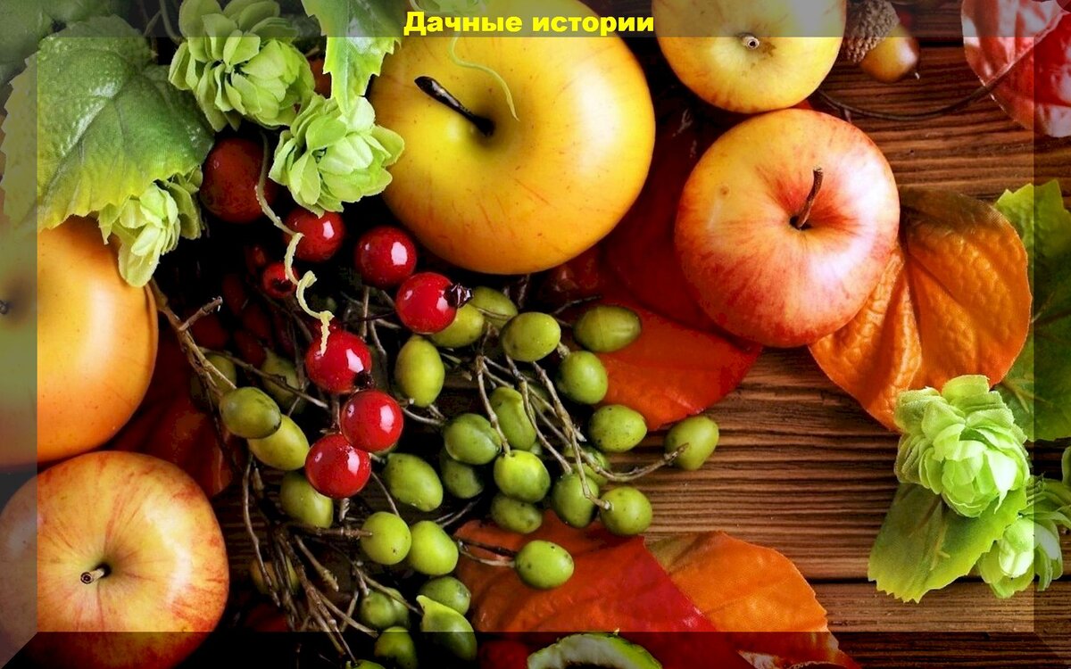 https://vk.com/photo-159774511_457253828