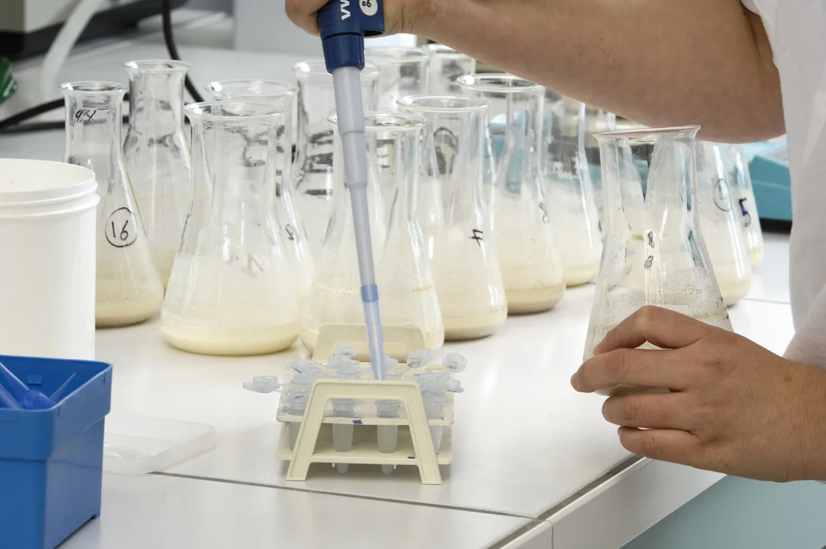 Исследование молока микробиология