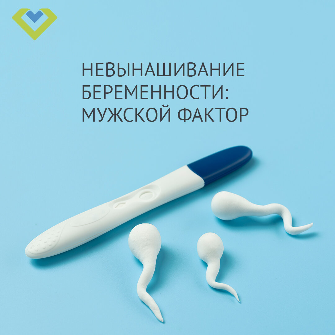 Изображение с сайта freepick.com