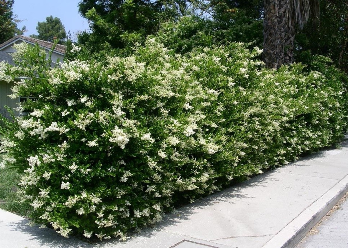 Источник фото - https://goo.su/r2Cuz3