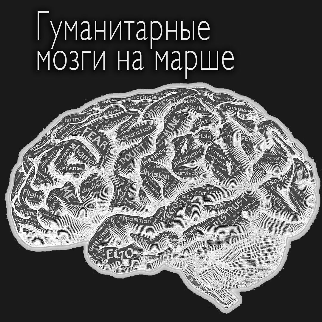 Мозг гуманитария. Гуманитарий мозг. Гуманитарный мозг. Мозги на 99. Сломать мозг гуманитарию.