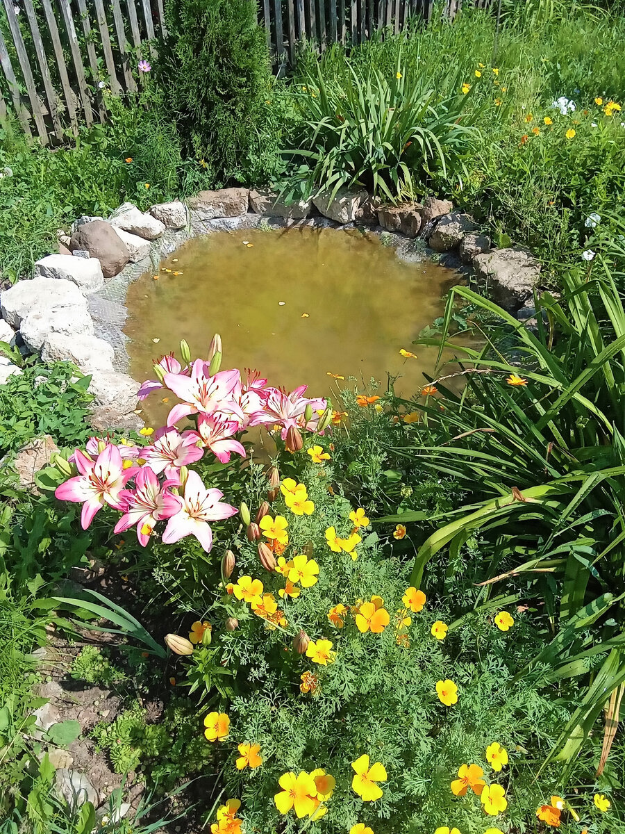 Это мое озерцо. Фото автора канала.