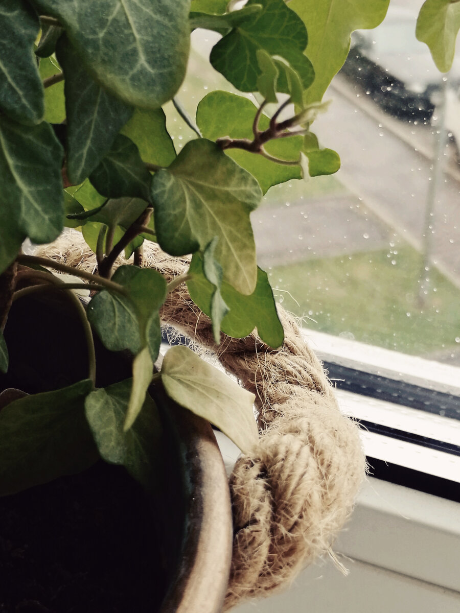 #размышлениявслух 