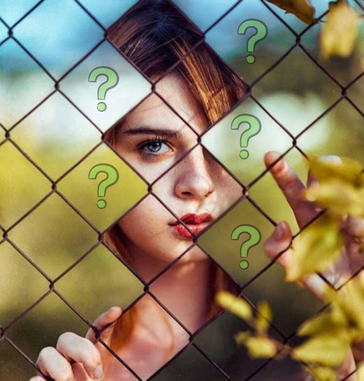 Иллюстрации к тесту созданы автором, источник изображений pixabay.com