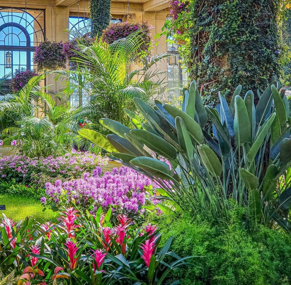 Изображение взято из открытых источников