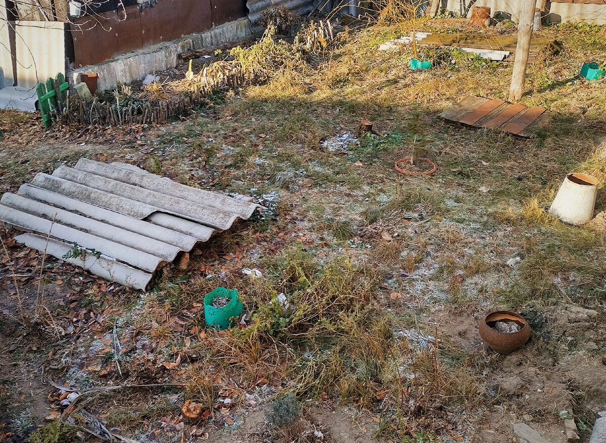 Травка зеленеет.. И не скажешь, что мороз на улице...