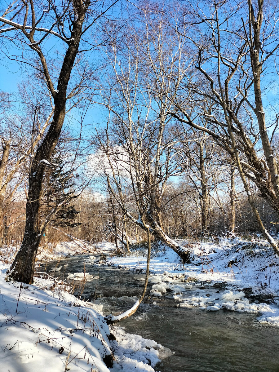 Звуки природы 