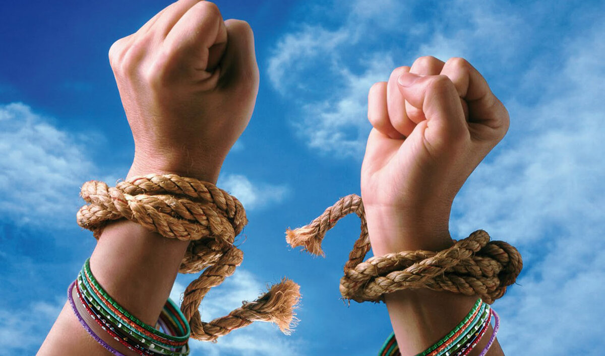 картинка взята с сайта factinteres.ru